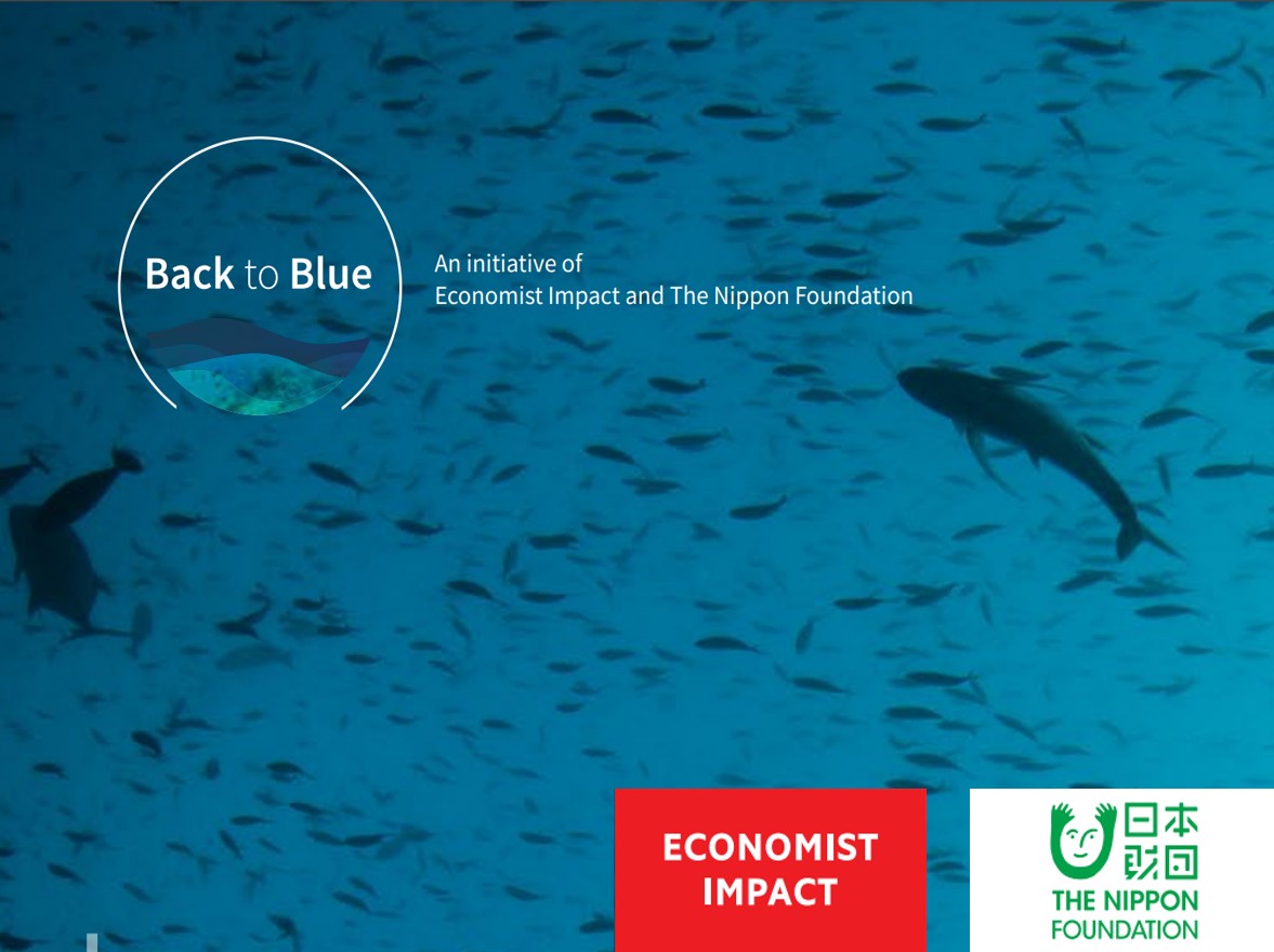 NODC a supporto dell’iniziativa Back to Blue contro l’inquinamento marino